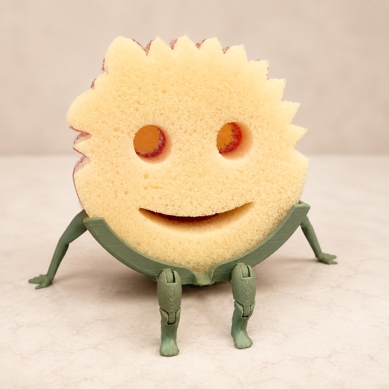 Scrubber Holder